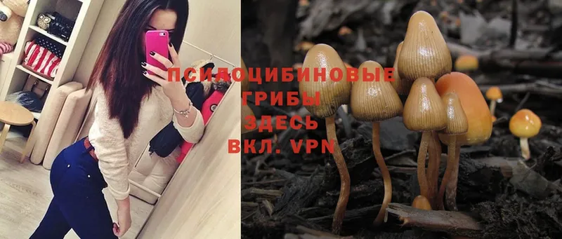 Галлюциногенные грибы MAGIC MUSHROOMS Валуйки